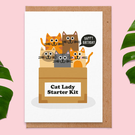 Birthday card that features an illustration of 5 cats in a cardboard box. On the box there is a label that says cat lady starter kit. One of the cats has a speech bubble coming from it saying happy birthday.