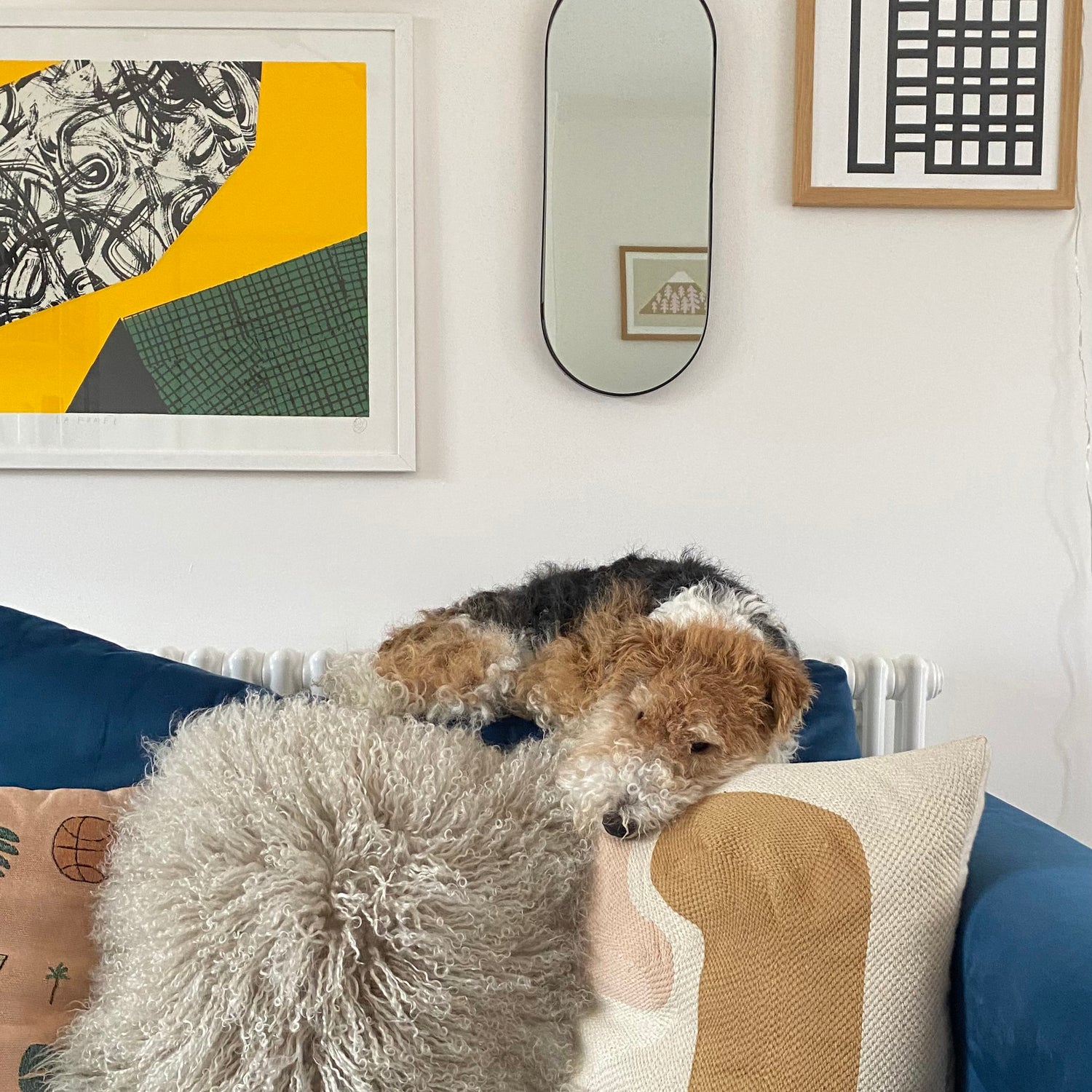 image of wire fox terrier dog sleeping on a sofa with cushions