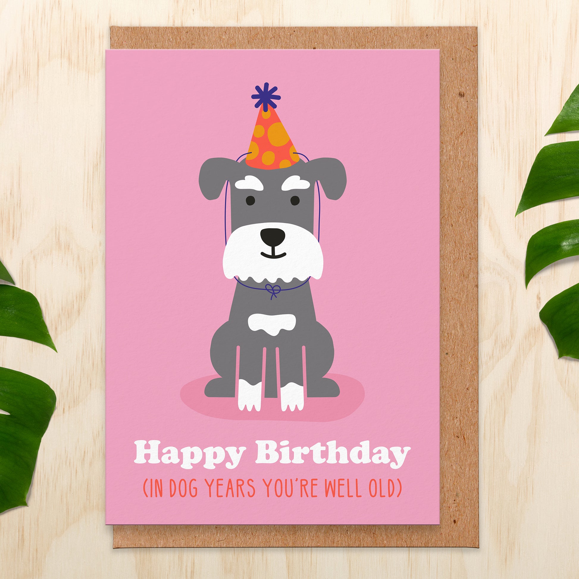 Pink greetings card with an illustration of a grey schnauzer wearing a party hat. Underneath it says happy birthday in dog years you're well old!