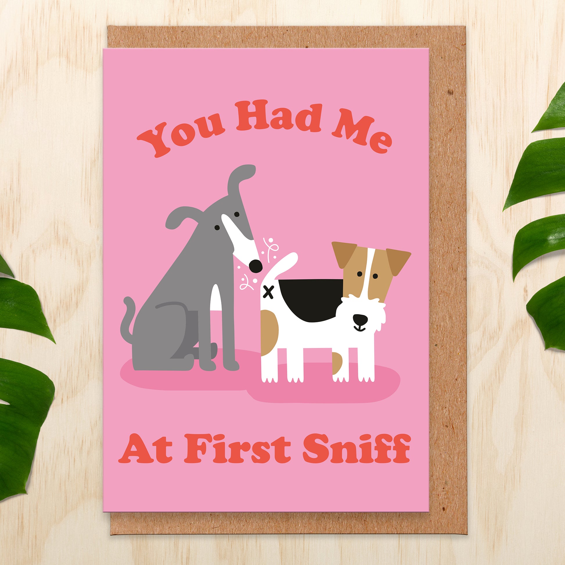 Valentine's Day card with an illustration of two dogs and the sitting dog is sniffing the stood up dogs bum and reads You Had Me At First Sniff
